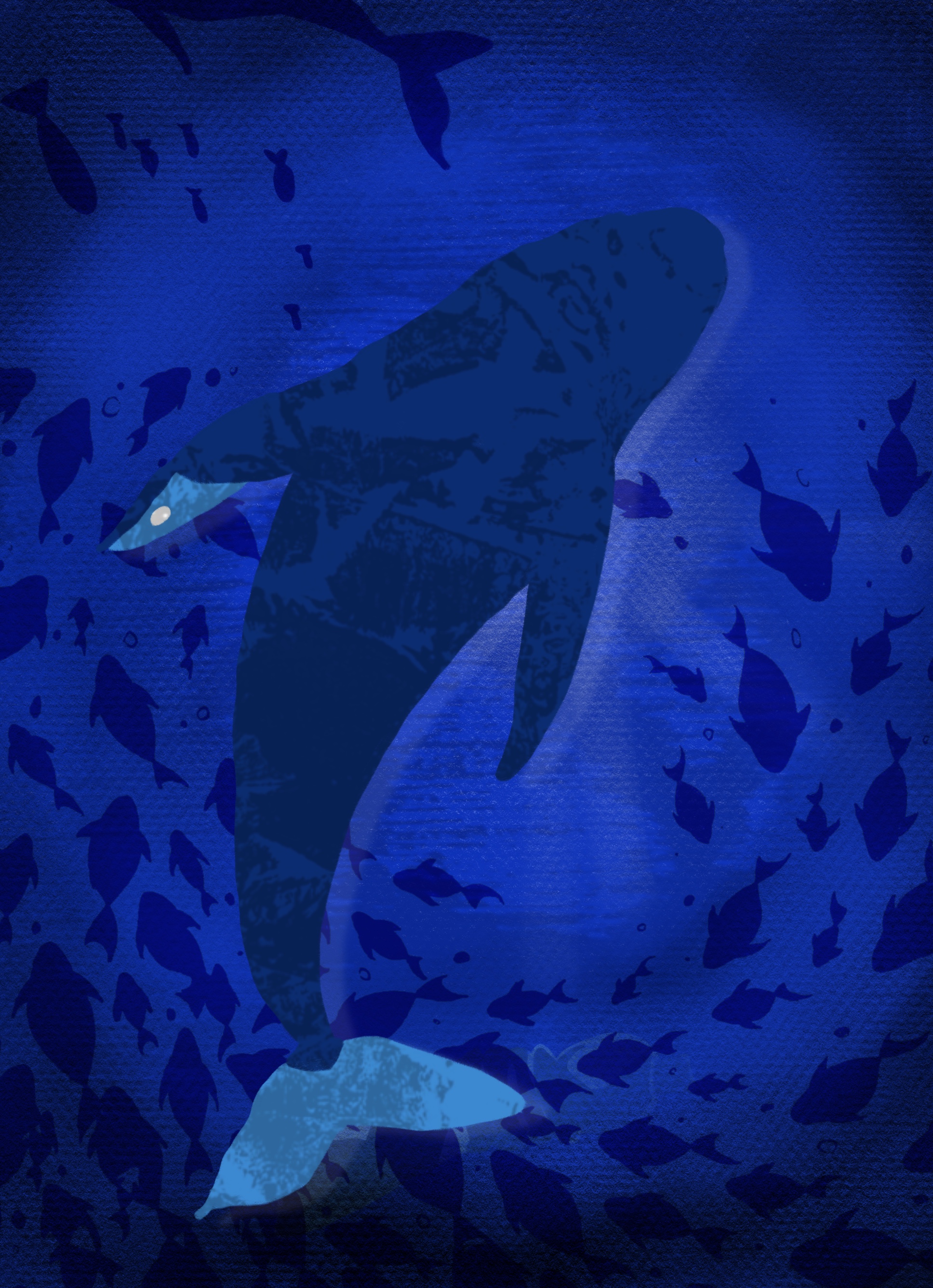 Image Poster 2